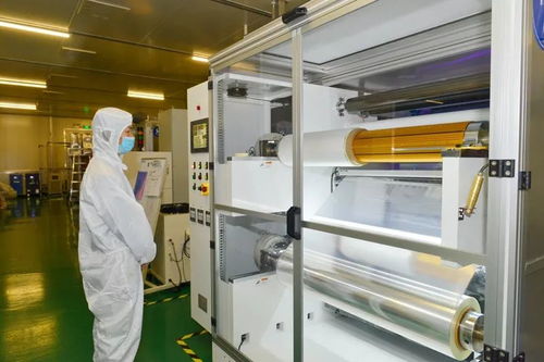 大竹即將全面崛起