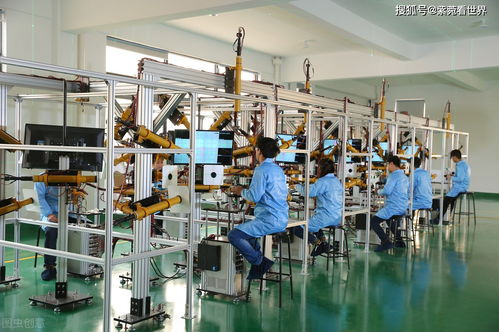 41歲母親再婚生子，壓榨大兒子引發(fā)社會爭議