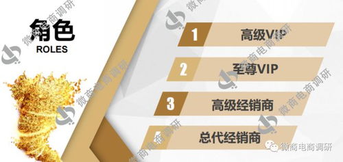 唐淑玉丹消毒產(chǎn)品虛假宣傳及四級代理模式解析